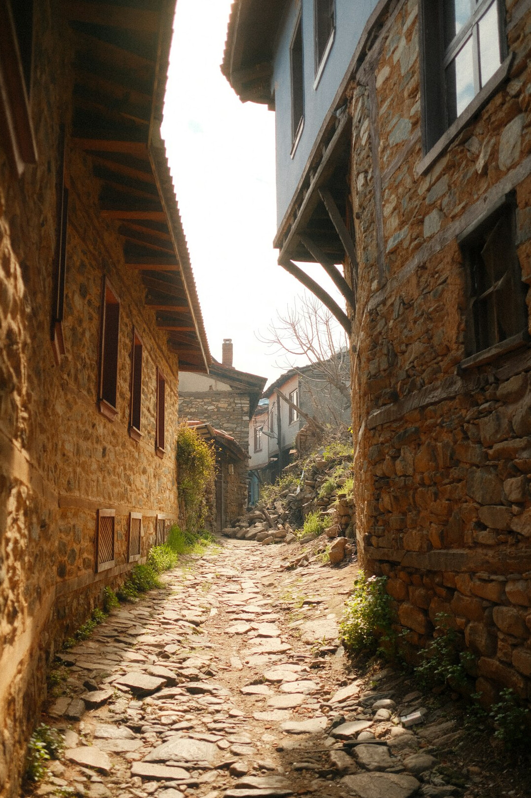 Colonial cobblestone street in Colonia del Sacramento with old stone houses