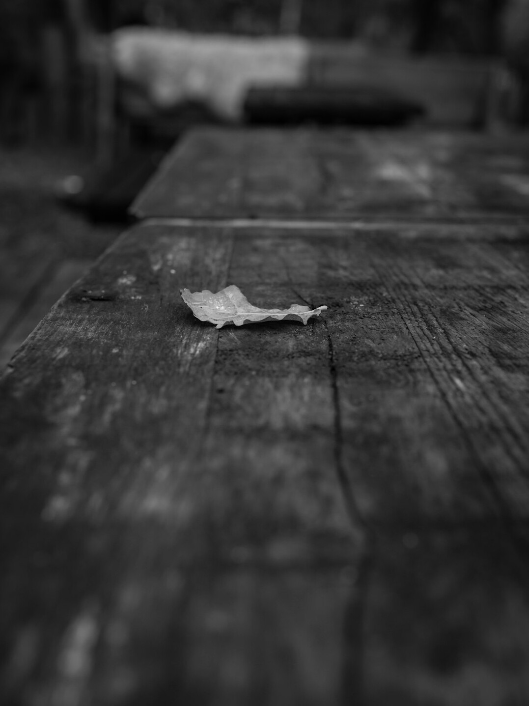 Old black and white photographs spread on a wooden table